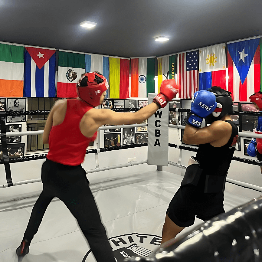 SPARRING SESSIONS 1​